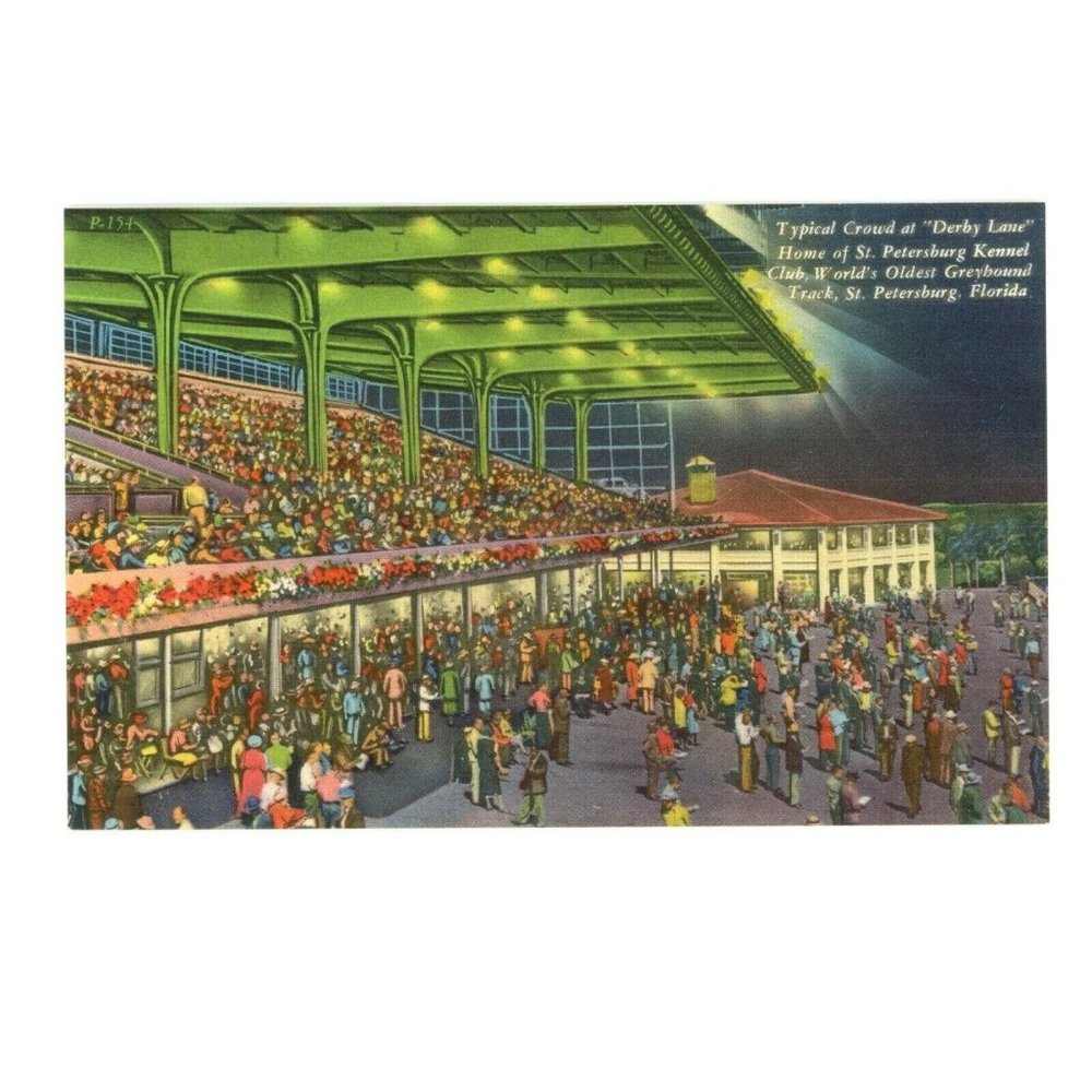 Vintage Postcard St Petersburg Florida Derby Lane Kennel Club Greyhound‎ Track